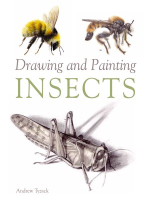 cover image of Drawing and Painting Insects